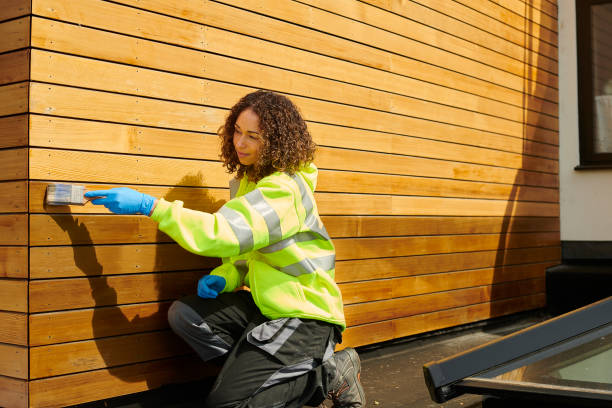 Best Vinyl Siding Installation  in Houston, PA